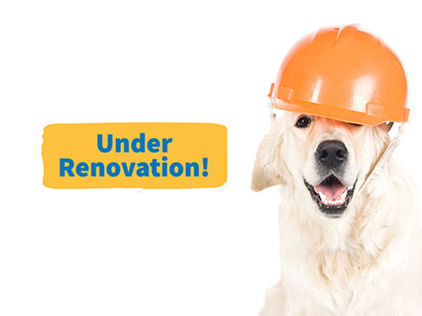 Under Renovation